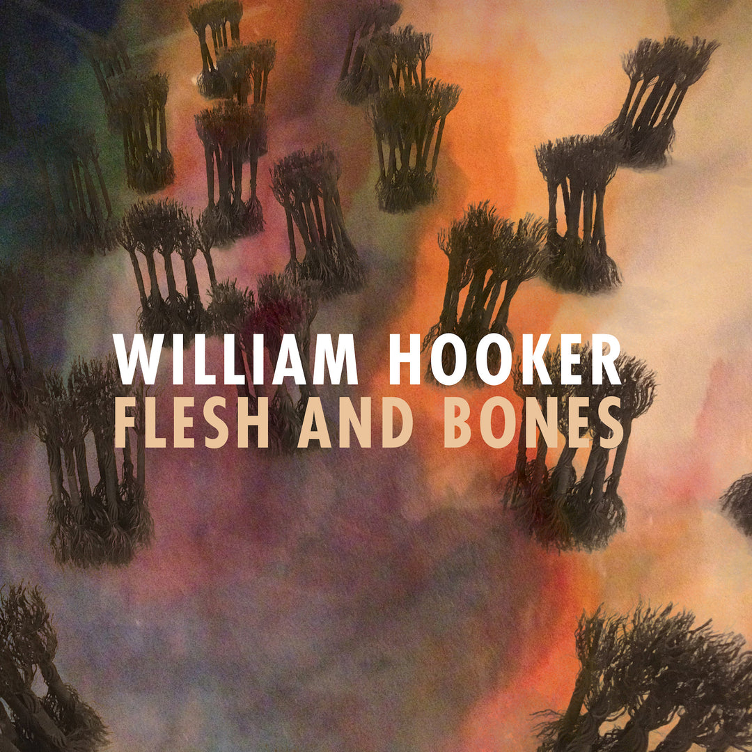 William Hooker: Flesh and Bones