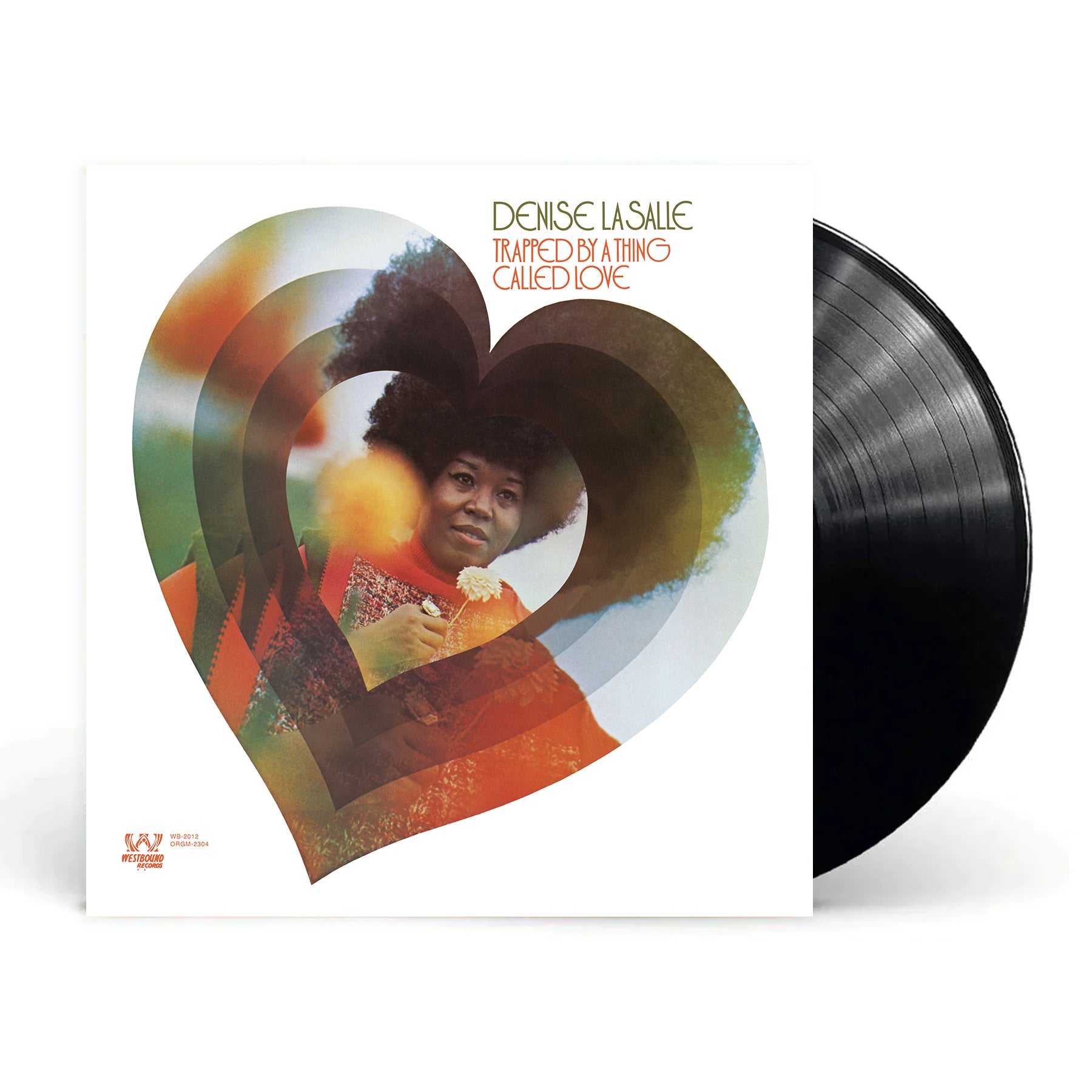 Denise_LaSalle_Mockup_Black_Vi