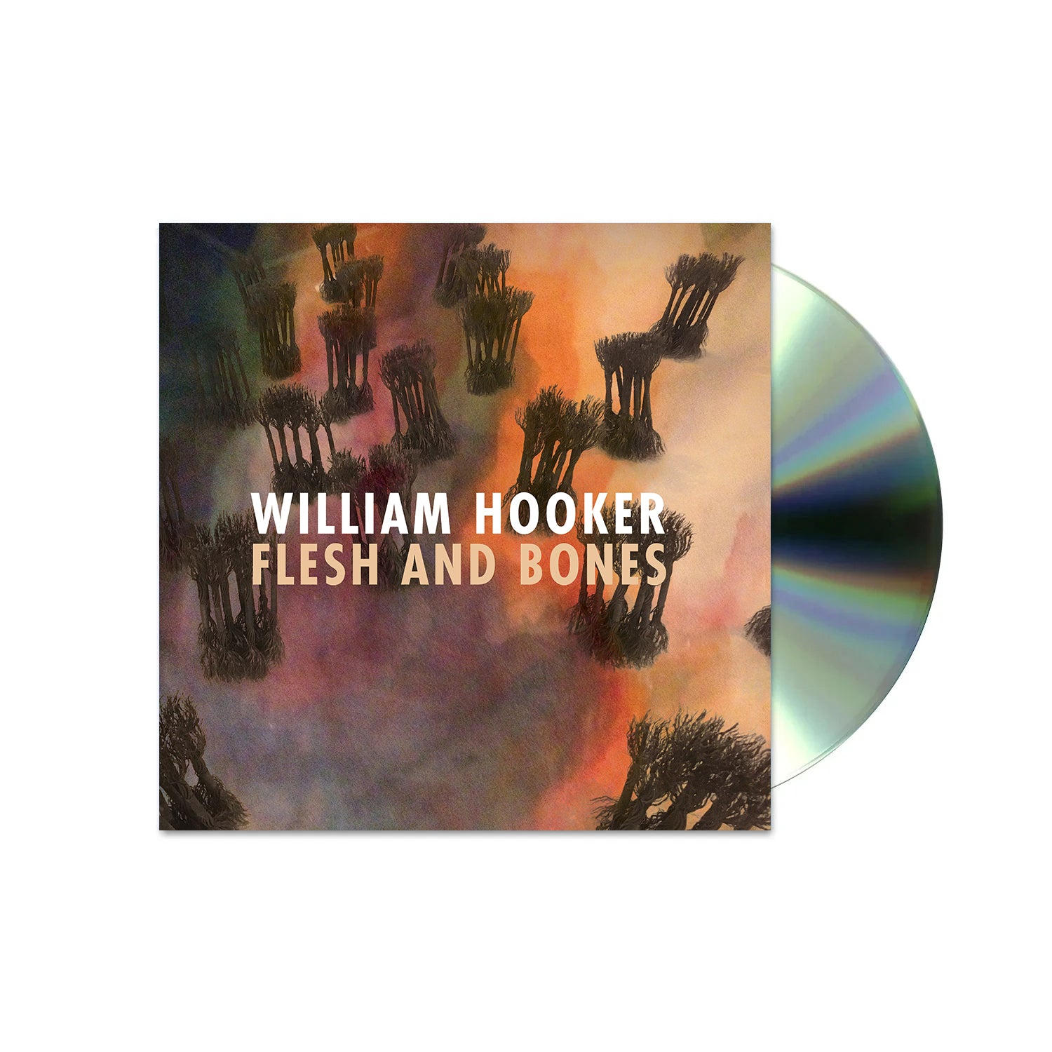 WilliamHooker_FleshandBone_CD.