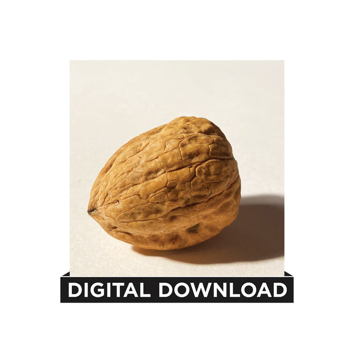 Dreamer's Ball / Walnut