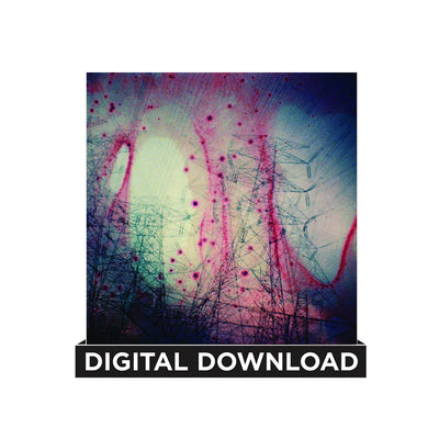 Obscene Single Limited Edition Digital Download